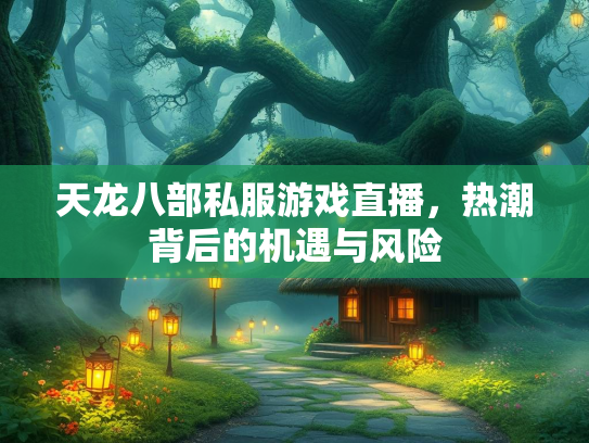 天龙八部私服游戏直播，热潮背后的机遇与风险  第3张