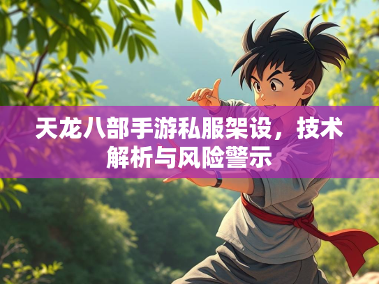 天龙八部手游私服架设，析风险技术解析与风险警示  第1张