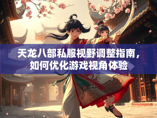 天龙八部私服视野调整指南，如何优化游戏视角体验