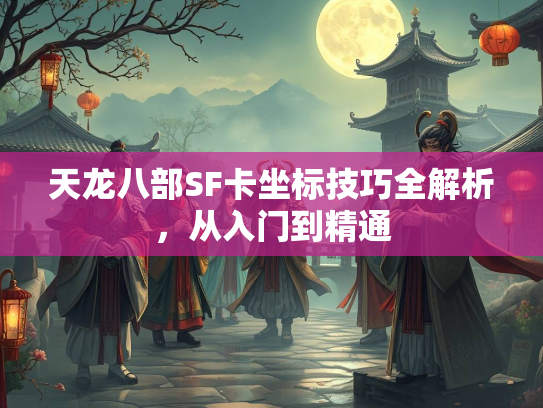 天龙八部SF卡坐标技巧全解析，从入门到精通  第2张
