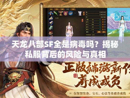 天龙八部SF全是病毒吗？揭秘私服背后的风险与真相  第3张