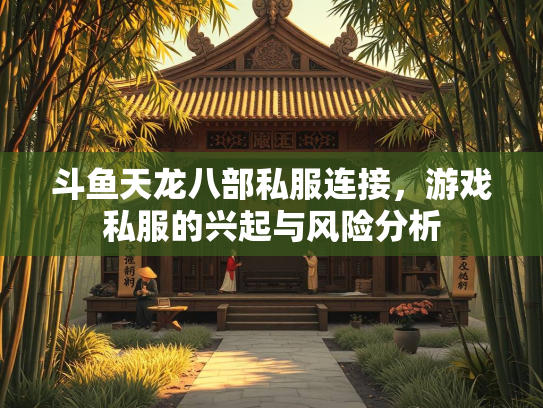 斗鱼天龙八部私服连接，游戏私服的兴起与风险分析  第2张