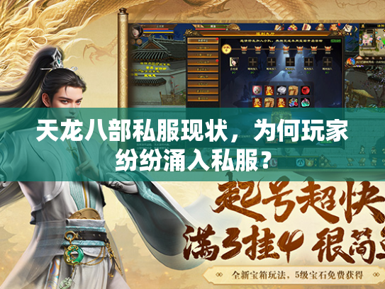 天龙八部私服现状，为何玩家纷纷涌入私服？