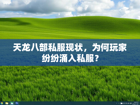 天龙八部私服现状，为何玩家纷纷涌入私服？