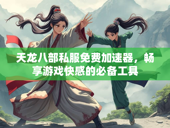 天龙八部私服免费加速器，畅享游戏快感的必备工具  第2张