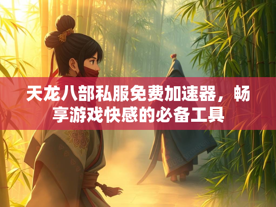 天龙八部私服免费加速器，畅享游戏快感的必备工具  第3张