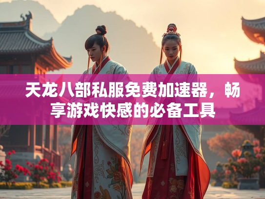 天龙八部私服免费加速器，畅享游戏快感的必备工具  第1张