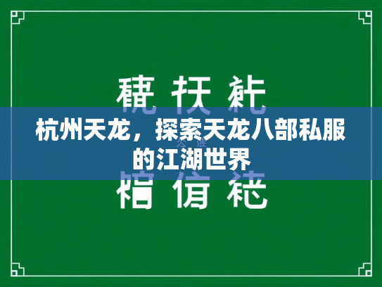 杭州天龙，探索天龙八部私服的江湖世界  第2张