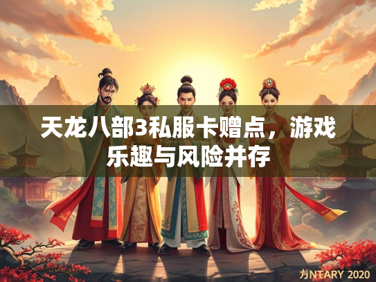 天龙八部3私服卡赠点，游戏乐趣与风险并存  第2张