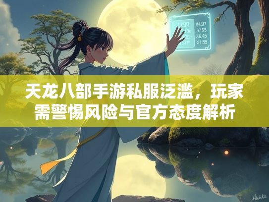 天龙八部手游私服泛滥，玩家需警惕风险与官方态度解析  第2张