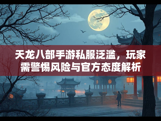 天龙八部手游私服泛滥，玩家需警惕风险与官方态度解析