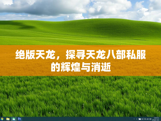 绝版天龙，探寻天龙八部私服的辉煌与消逝  第3张