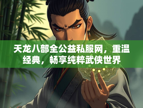天龙八部全公益私服网，重温经典，畅享纯粹武侠世界  第3张