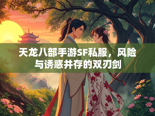 天龙八部手游SF私服，风险与诱惑并存的双刃剑  第3张