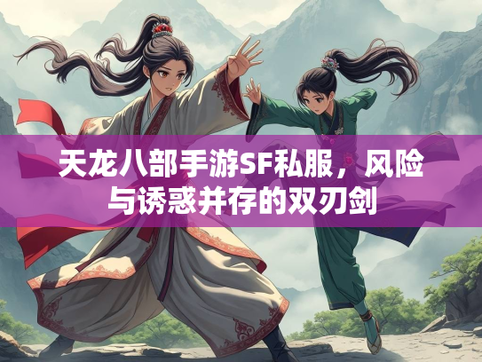 天龙八部手游SF私服，风险与诱惑并存的双刃剑
