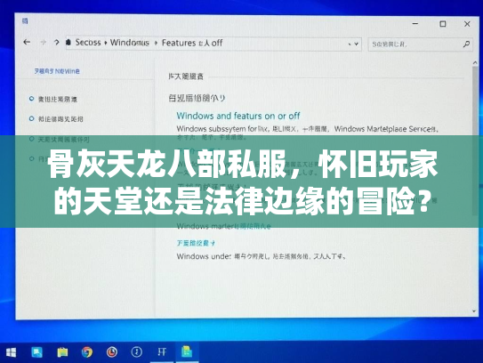骨灰天龙八部私服，怀旧玩家的天堂还是法律边缘的冒险？  第2张