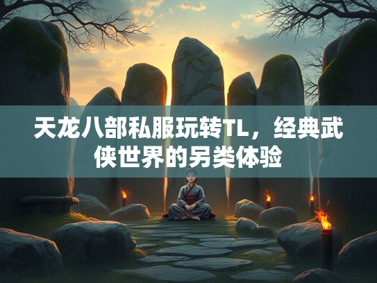 天龙八部私服玩转TL，经典武侠世界的另类体验