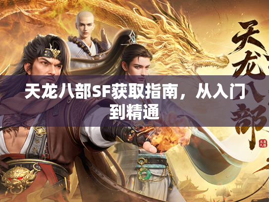 天龙八部SF获取指南，从入门到精通  第2张