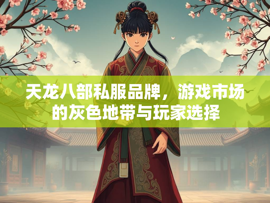 天龙八部私服品牌，游戏市场的灰色地带与玩家选择  第2张