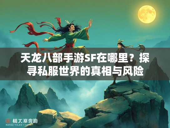 天龙八部手游SF在哪里？探寻私服世界的真相与风险