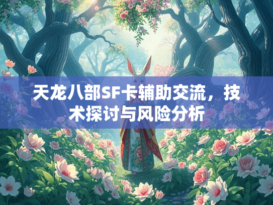 天龙八部SF卡辅助交流，技术探讨与风险分析
