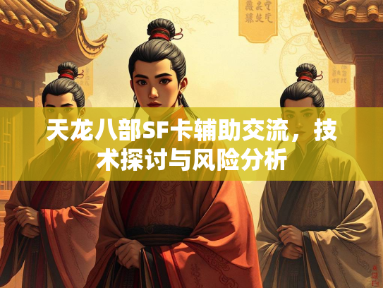天龙八部SF卡辅助交流，技术探讨与风险分析