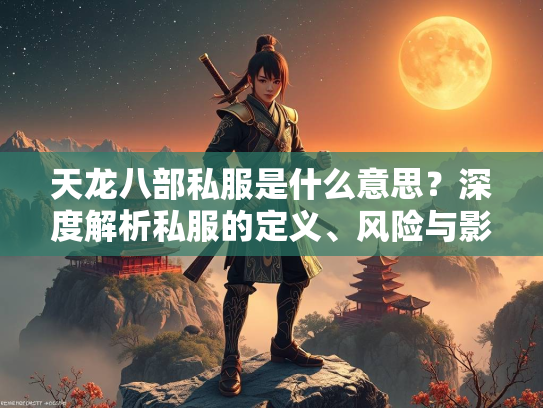 天龙八部私服是什么意思？深度解析私服的定义、风险与影响