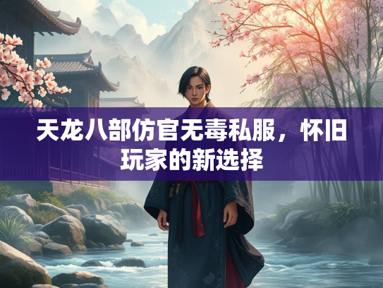 天龙八部仿官无毒私服，怀旧玩家的新选择  第3张
