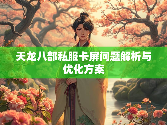天龙八部私服卡屏问题解析与优化方案  第2张