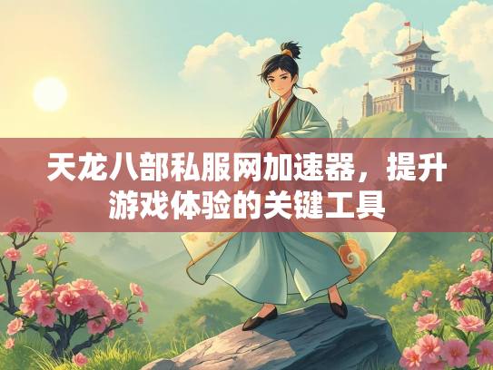 天龙八部私服网加速器，提升游戏体验的关键工具