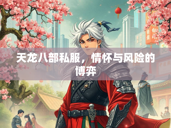 天龙八部私服，情怀与风险的博弈  第2张