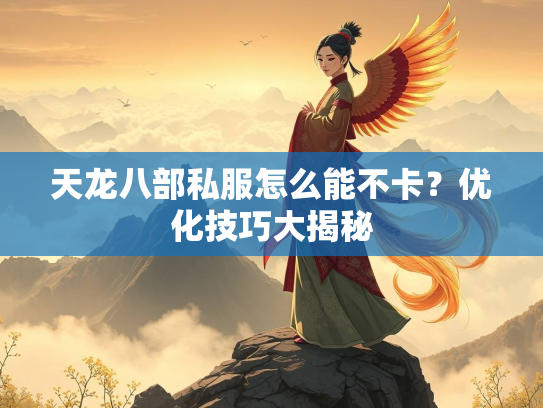 天龙八部私服怎么能不卡？优化技巧大揭秘  第2张