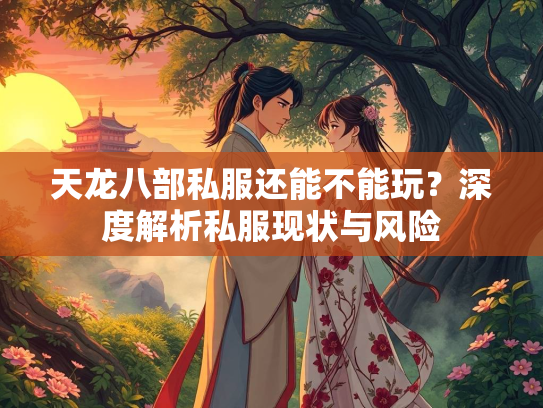 天龙八部私服还能不能玩？深度解析私服现状与风险  第2张