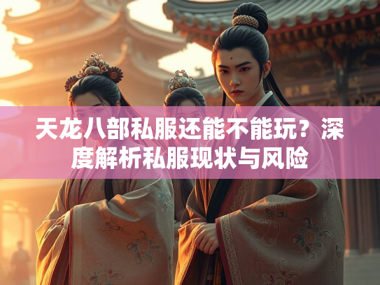 天龙八部私服还能不能玩？深度解析私服现状与风险
