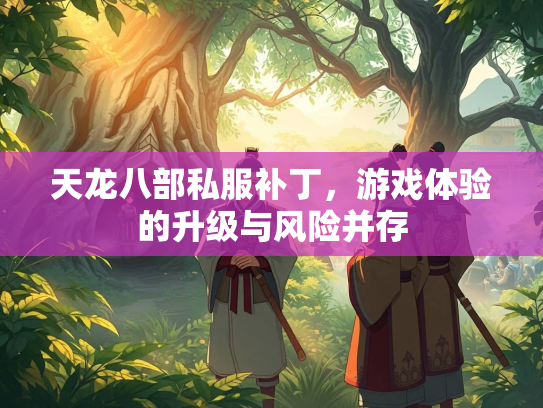 天龙八部私服补丁，游戏体验的升级与风险并存