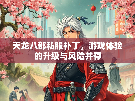 天龙八部私服补丁，游戏体验的升级与风险并存