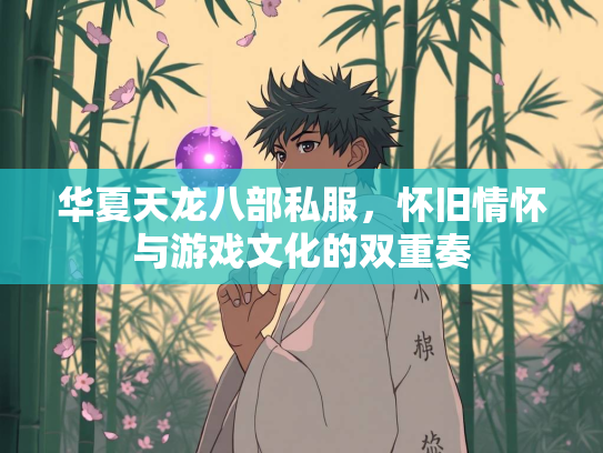 华夏天龙八部私服，怀旧情怀与游戏文化的双重奏  第2张