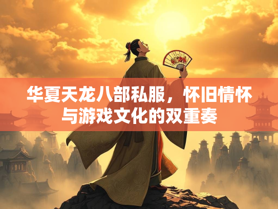 华夏天龙八部私服，怀旧情怀与游戏文化的双重奏