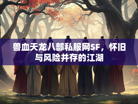 兽血天龙八部私服网SF，怀旧与风险并存的江湖