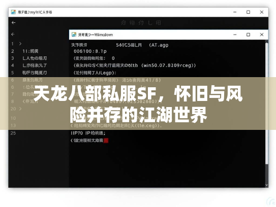 天龙八部私服SF，怀旧与风险并存的江湖世界