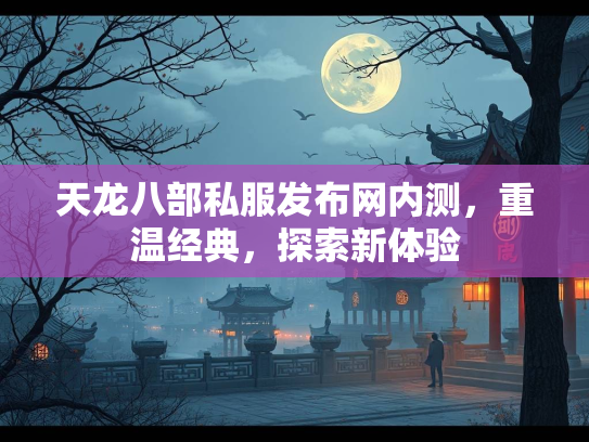 天龙八部私服发布网内测，重温经典，探索新体验  第2张