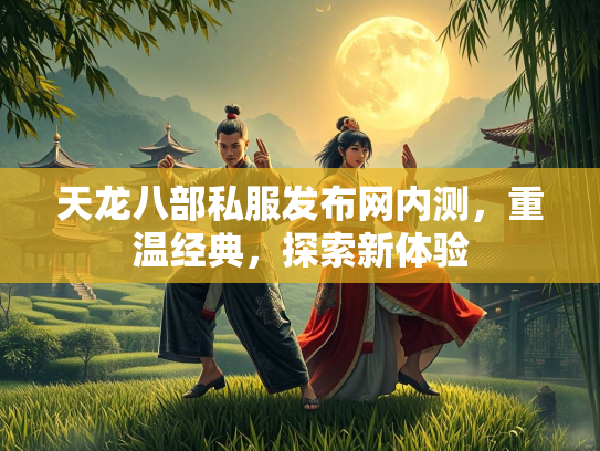 天龙八部私服发布网内测，重温经典，探索新体验