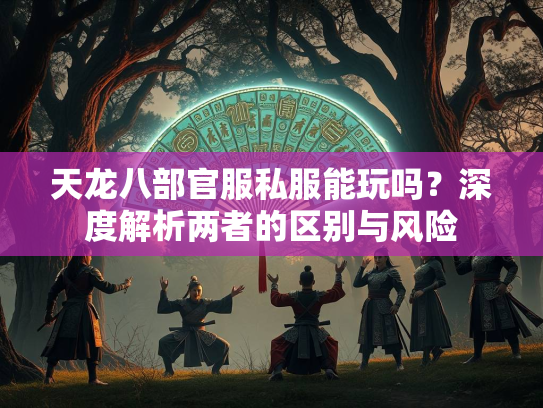 天龙八部官服私服能玩吗？深度解析两者的区别与风险  第2张