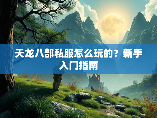 天龙八部私服怎么玩的？新手入门指南