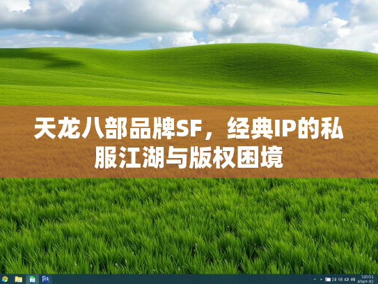 天龙八部品牌SF，经典IP的私服江湖与版权困境