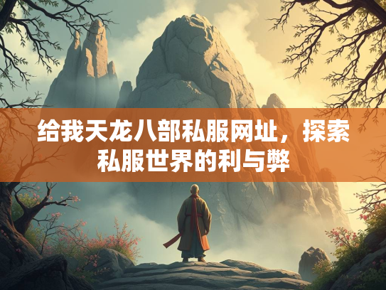 给我天龙八部私服网址，探索私服世界的利与弊  第2张