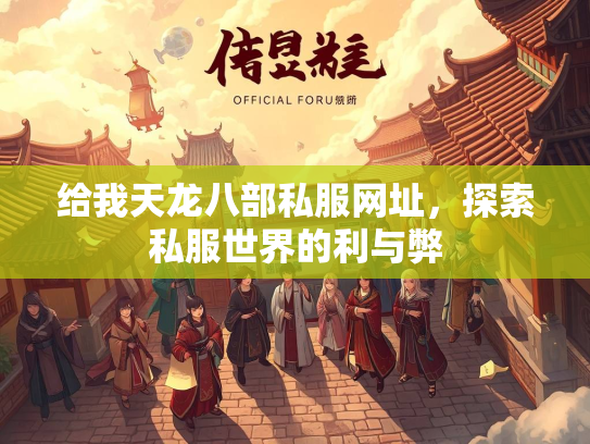 给我天龙八部私服网址，探索私服世界的利与弊  第3张