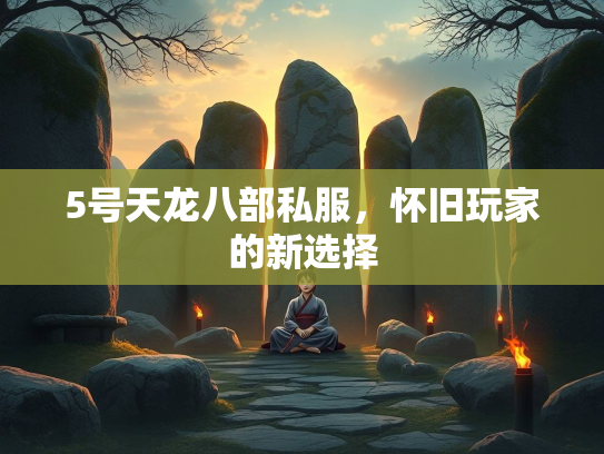 5号天龙八部私服，怀旧玩家的新选择