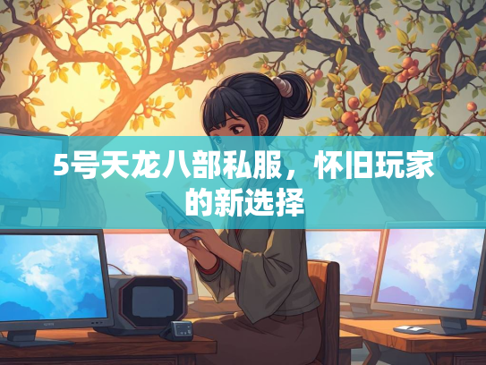 5号天龙八部私服，怀旧玩家的新选择