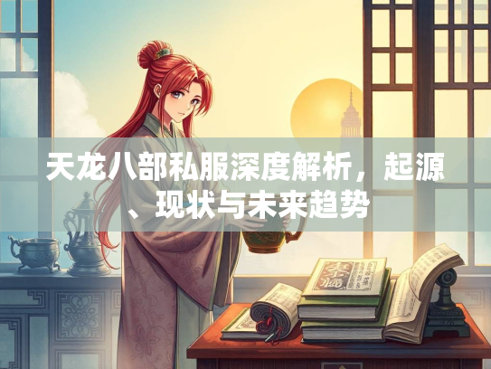 天龙八部私服深度解析，起源、现状与未来趋势